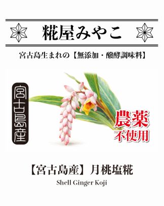 【宮古島産】月桃塩糀 (冷蔵)