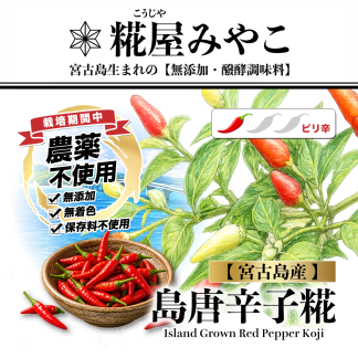 【宮古島産】島唐辛子糀 《ピリ辛》
