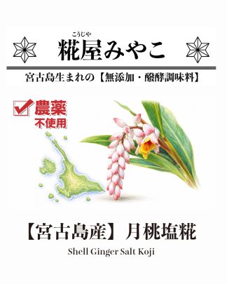 【宮古島産】月桃塩糀