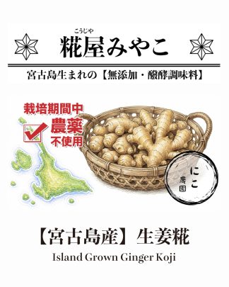 【宮古島産】生姜糀