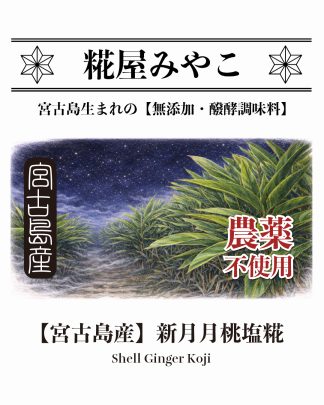 【宮古島産】新月月桃塩糀