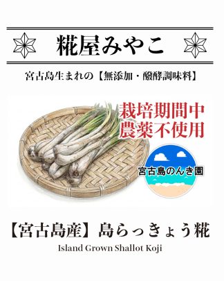 島らっきょう糀 Ver.2