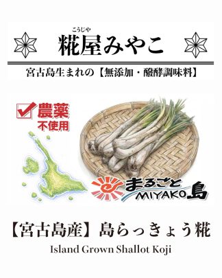 島らっきょう糀 Ver.3